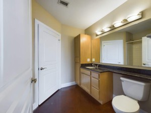 Apartments in Baton Rouge - Studio Apartment - Allen - Bathroom